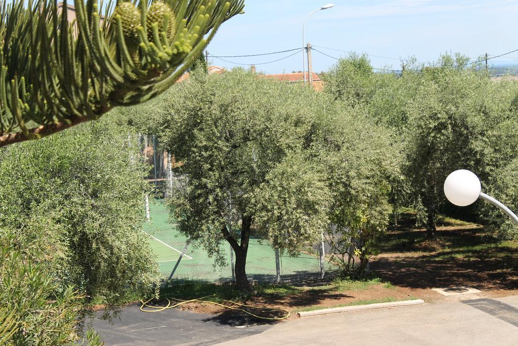 Chambres d'hôtes Le Clos des Oliviers Sorbo-Ocagnano Exterior foto
