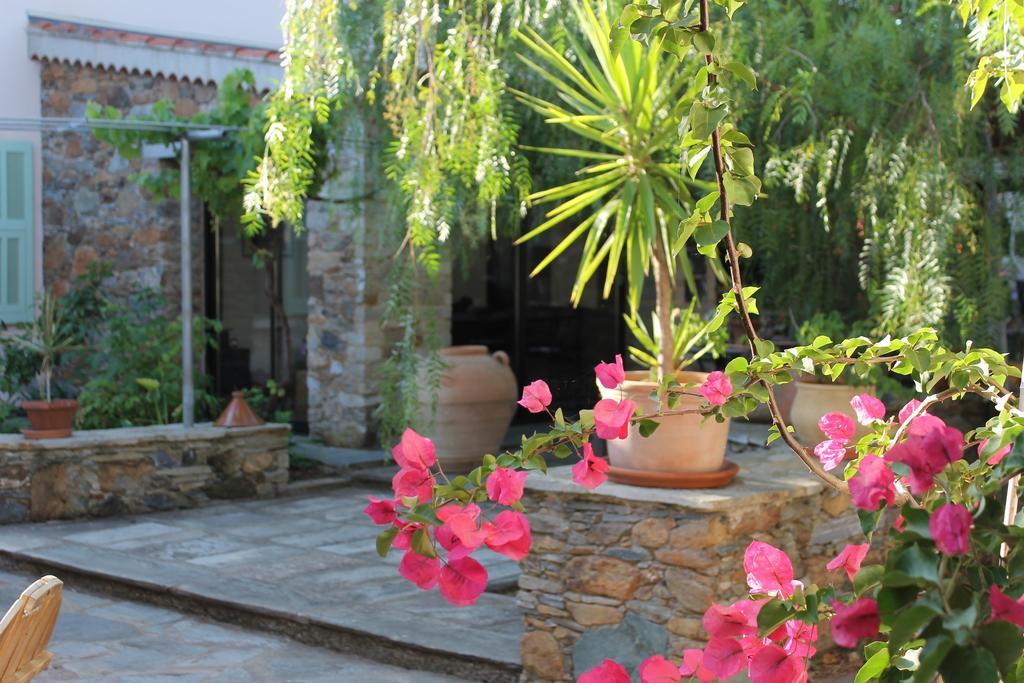 Chambres d'hôtes Le Clos des Oliviers Sorbo-Ocagnano Exterior foto